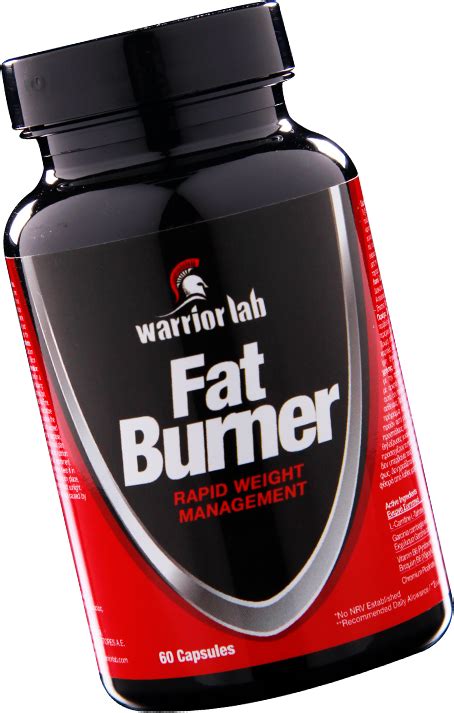 Warrior Lab 的图像结果