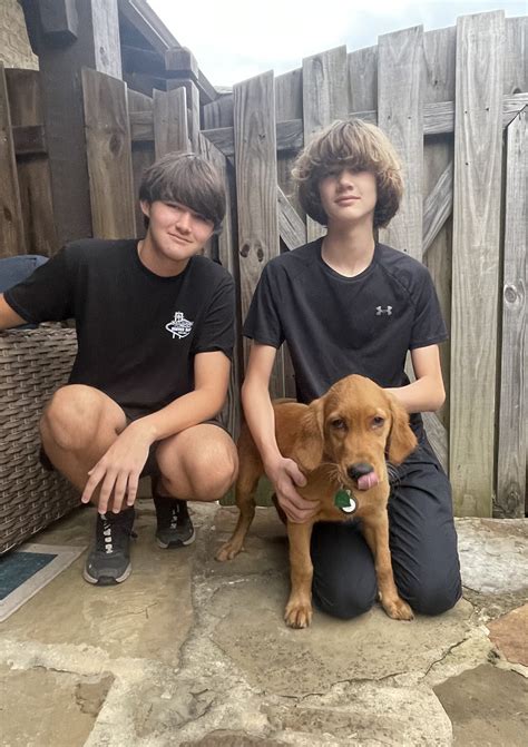 Past Adoptions Archive - Page 5 of 15 - Adopt a Golden Birmingham