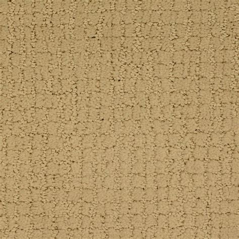 STAINMASTER (Sample) TruSoft Perpetual Devango Pattern Carpet at Lowes.com