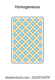 Image result for Homogeneous Vector Form