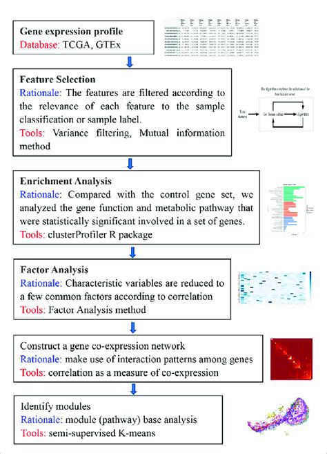 Flowchart Algorithm Camelia 的图像结果