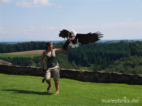 Südoststeiermark: Riegersburg und Umgebung - Tipps und Highlights ...