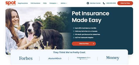 Bivvy discontinues sales of pet insurance policies