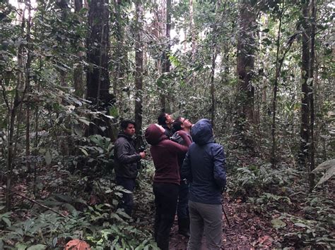 ROBLES EXPEDITIONS (2025) All You Need to Know BEFORE You Go (with ...