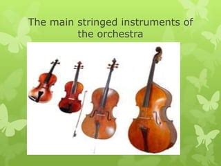Image result for Orchestra Stringed Instruments