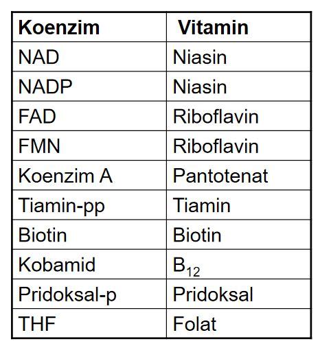Enzim Nedir? Enzimler Hakkında - Sayfa 2