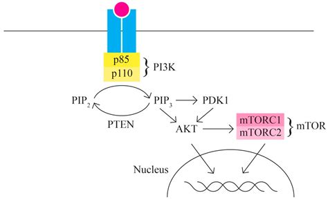 Developments in Genetics: Better Management of Ovarian Cancer Patients