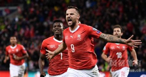 瑞士队-瑞士国家队-2020欧洲杯A组足球队-风暴体育