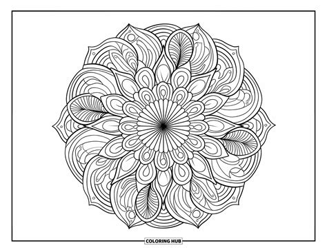 Image result for XeO2F2 Structure Chemistry