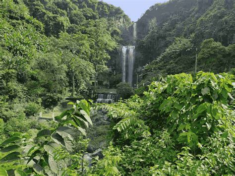 14 Best Tourist Places to Visit in Jharkhand in 2025