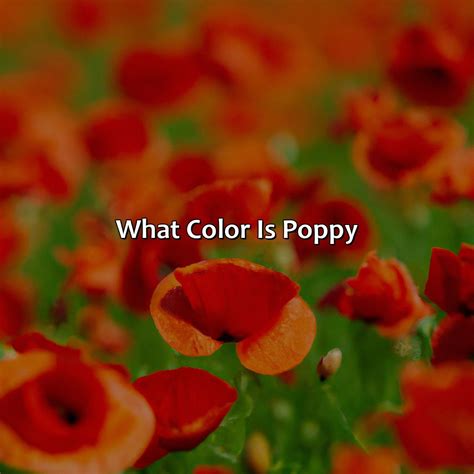 What Color Is Poppy - colorscombo.com