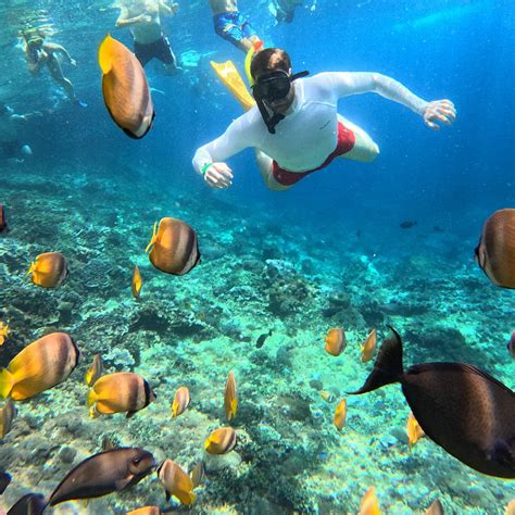 NUSA PENIDA SNORKELING TOUR (2026) All You Need to Know BEFORE You Go ...