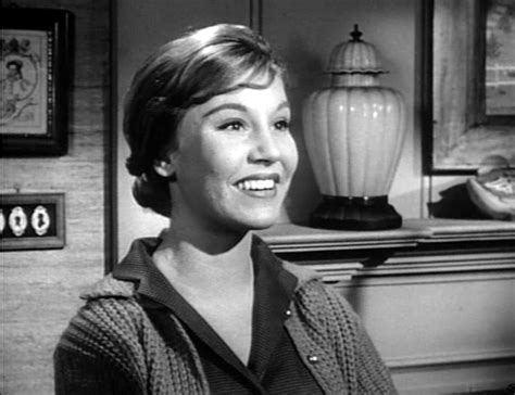 From the 19 April 1961 episode of The Adventures of Ozzie and Harriet ...