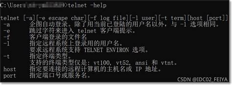 Windows系统telnet命令怎么打开？Telnet命令详解_windows的telnet命令-CSDN博客