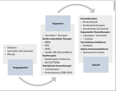 Cretostimogen Grenadenorepvec plus Pembrolizumab bei BCG-unresponsivem ...