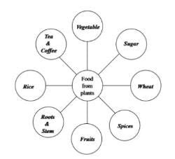 Food and its Components - General Knowledge Encyclopedia - Class 8 PDF ...