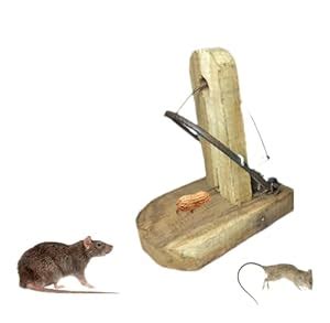 Vedai Health Foods Rodent Trap for Mouse and Rat Control : Amazon.in ...
