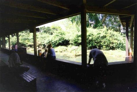 ZooLex Image - Swimming pool