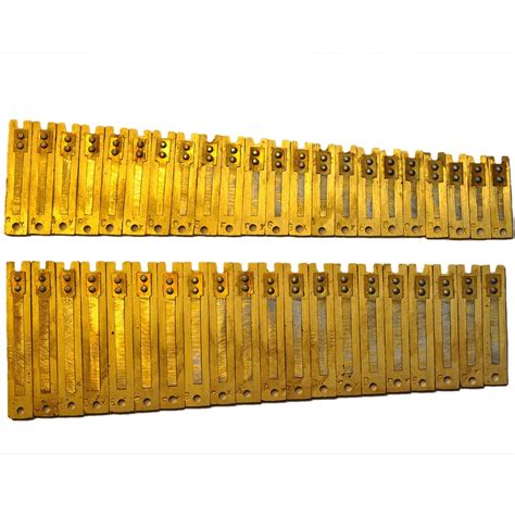 BHAVA Harmonium Reeds with 3.5 Octave Male Set for Delhi Harmoniums (17 ...