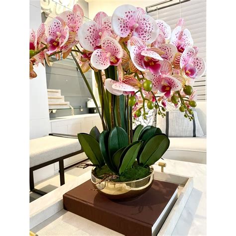 Orchid Flower Arrangements