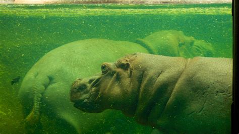 Far North Central holiday accommodation, TX, USA: holiday houses & more ...