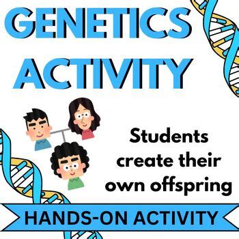 Genetics Activity (Traits, Dominant, Recessive, Genotype, Phenotype ...