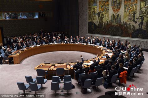 联合国安理会通过叙利亚和平进程决议(组图)_新浪新闻