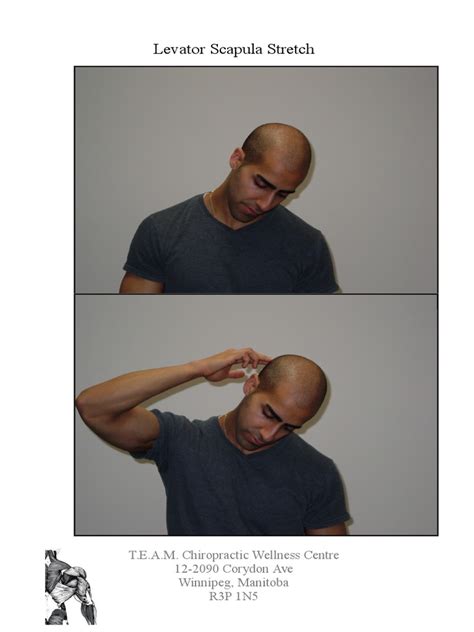 Scapula Stretching 的图像结果