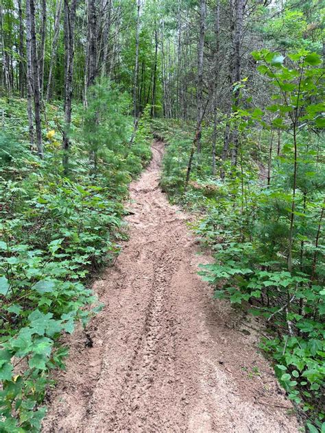 Sand Lake Motorcycle Trail, Michigan - GPS Trail Map, Conditions ...