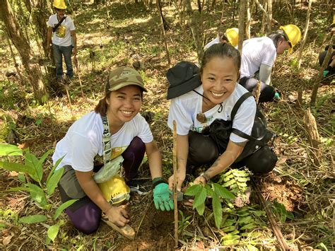 Tree-Planting Activity 的图像结果