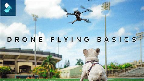 Image result for Learning to Fly Drones