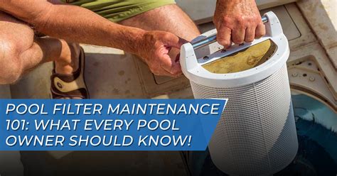 Pool Filter Maintenance 的图像结果