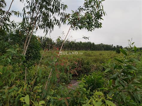 AMBIL SEKARANG
