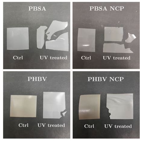 Evaluation of the Food Contact Suitability of Aged Bio-Nanocomposite ...