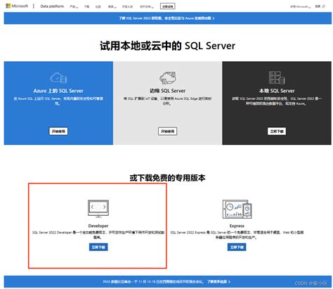 Asp.net 2022 SQL Server 的图像结果
