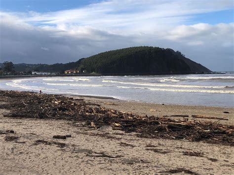 El PP de Ribadesella pide retirar la maleza acumulada en la playa para ...