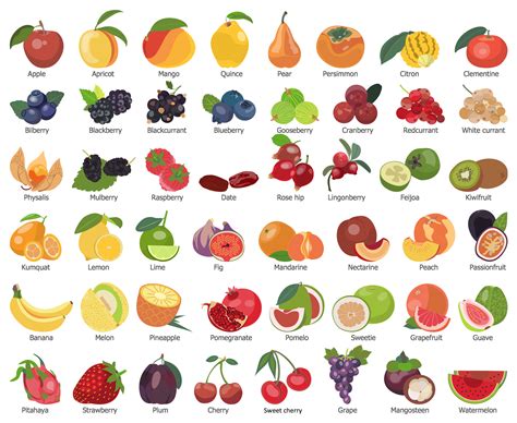 Healthy Food Drawing at GetDrawings | Free download