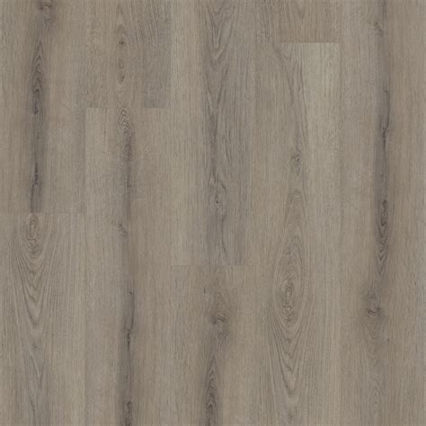 Paladin Plus - in Ashen Brown | Shaw Floors