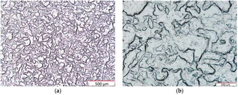 Influence of Cylindrical Cells Surface Cleaning by Means of Laser ...