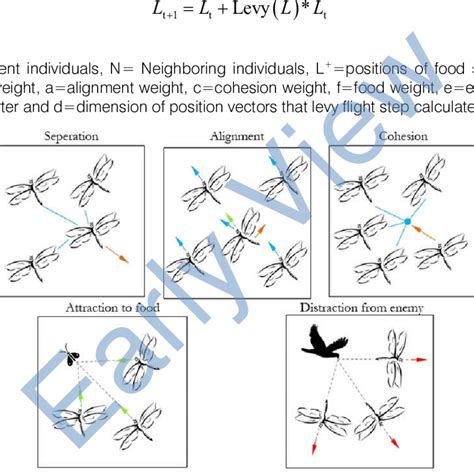 Image result for Tracking Algorithm Dragonflies