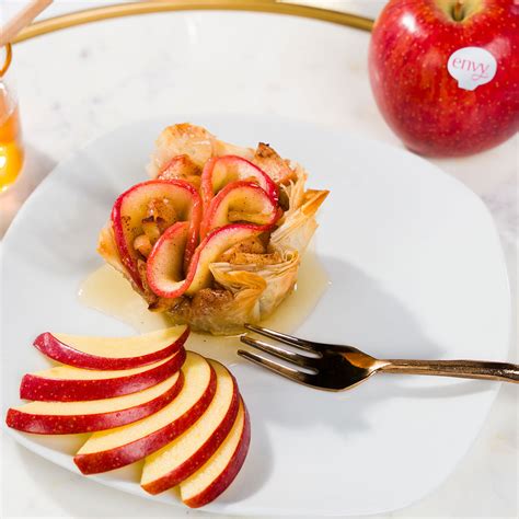 Apple II Programming 的图像结果