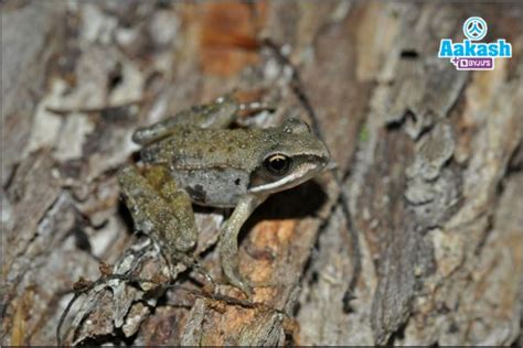 Conformation: Definition, Types of conformers, Pros and cons of ...