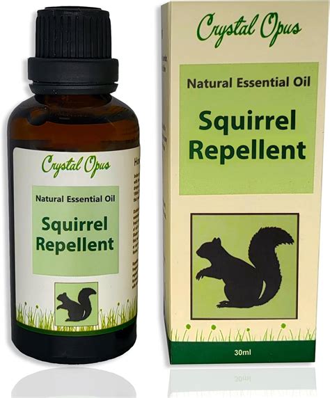 Peppermint Oil Squirrels