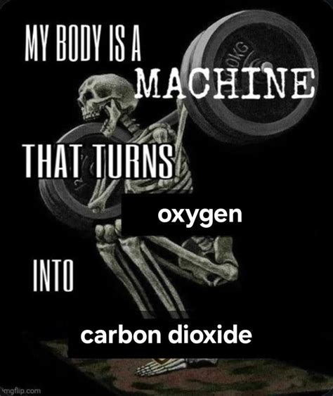 Biology Meme 的图像结果