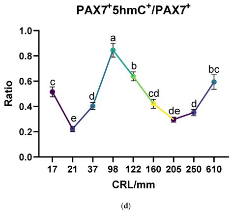 The Development of Prenatal Muscle Satellite Cells (MuSCs) and Their ...