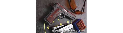 Image result for Nighthawk Custom Predator