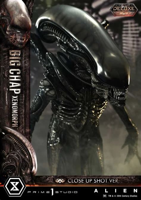 Alien Big Chap Xenomorph Prime 1 Studio - Figuresstock.com