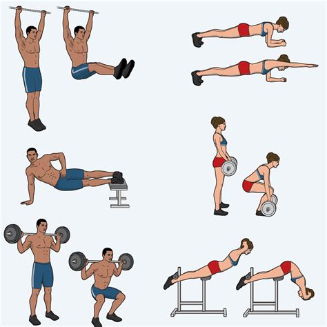 Exercise 动画 的图像结果