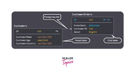Constraint SQL 的图像结果