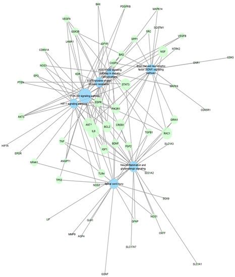 Using Computational Drug-Gene Analysis to Identify Novel Therapeutic ...